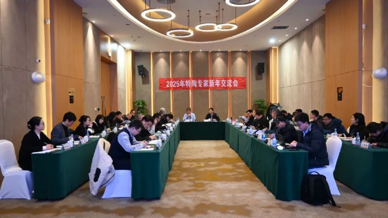 開年聚力 共謀新篇 | 2025年特陶專家新年交流會(huì)圓滿舉辦